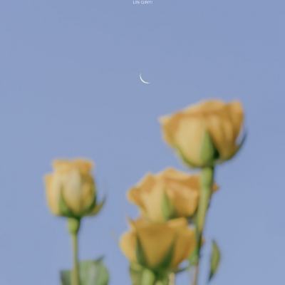 永恒奇迹mu正版手游下载